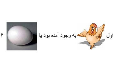 كدامیك اول به وجود آمد مرغ یا تخم مرغ؟