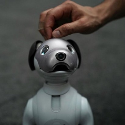 سونی، ربات خانگی Aibo را روانه بازارهای امریکا می‌کند