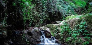 آبشار لونک گیلان تکه‌ای جامانده از بهشت