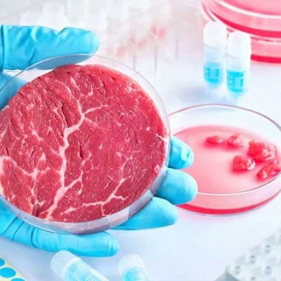 گوشت آزمایشگاهی چیست؟