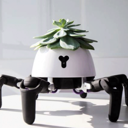 ربات مخصوص نگهداری گیاهان