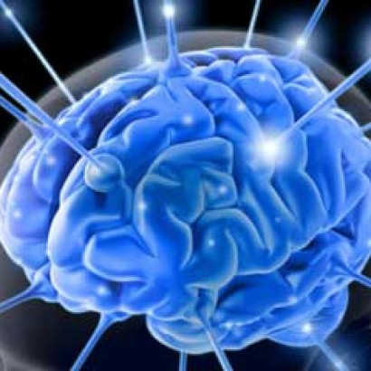 10 واقعيت جذاب در مورد مغز انسان