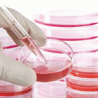 تولید خون انسان با استفاده از سلول‌های بنیادی
