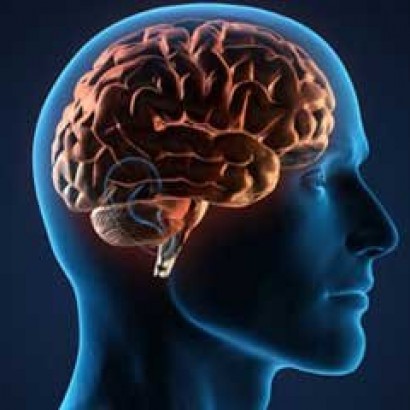 امواج مغز به تصمیم‌گیری مبتنی بر حافظه کمک می‌کند