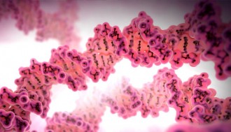 فیلم واکنش PCR برای تکثیر DNA