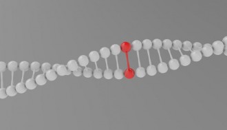 فیلم برش و ایجاد DNA نوترکیب