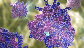 فیلم تشکیل پروتئین در ریبوزوم I