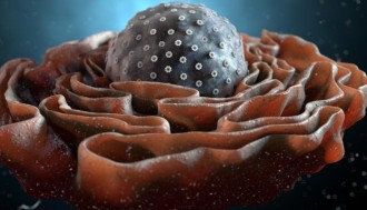 فیلم  هضم اندامک های درون سلول