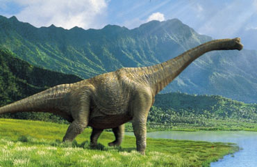 مغز بزرگترین دایناسورها اندازه یک توپ تنیس بود