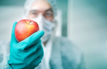 صنایع غذایی