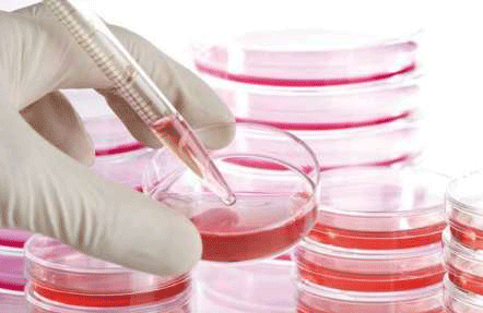 تولید خون انسان با استفاده از سلول‌های بنیادی