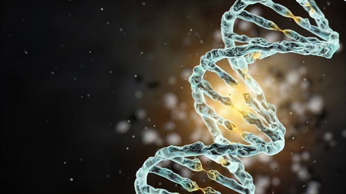 رونویسی RNA از روی رشته DNA