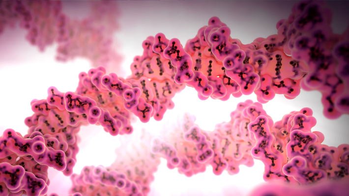 فیلم واکنش PCR برای تکثیر DNA