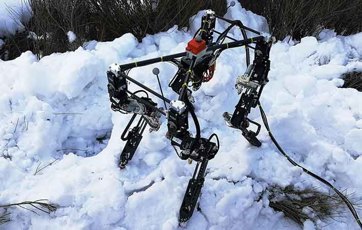 Dyret؛ رباتی که روی برف و یخ راه می‌رود