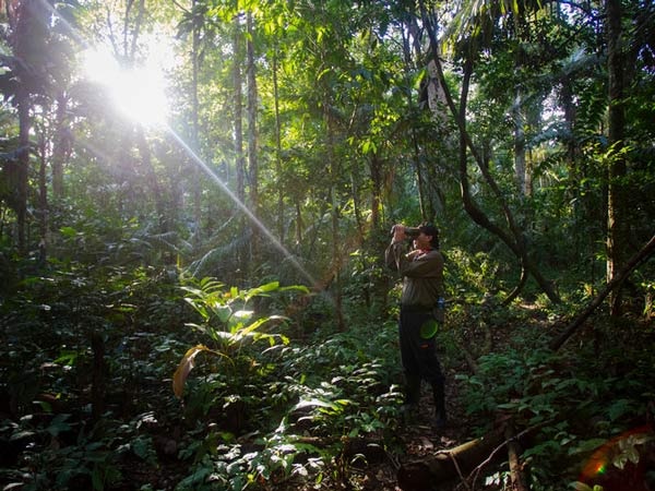 آیا واقعا جنگل‌های آمازون ۲۰ درصد اکسیژن ما را تامین می‌کند