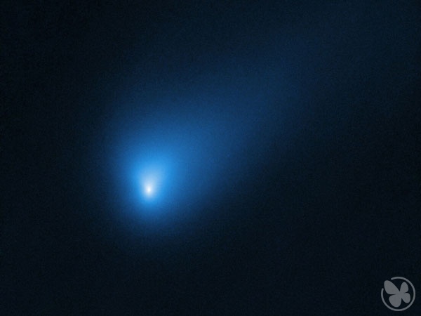 هابل از دومین دنباله‌دار میان ستاره‌ای عکس گرفت