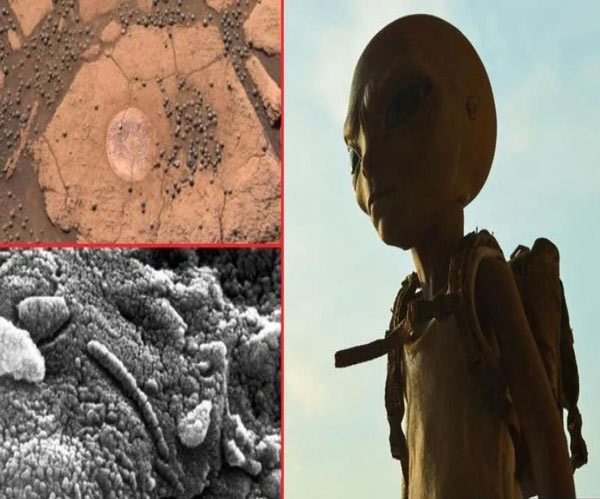 سازه هایی شبیه قارچ در مریخ و ادعای اثبات نشده وجود حیات بیگانه