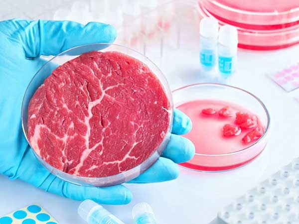 گوشت آزمایشگاهی چیست؟