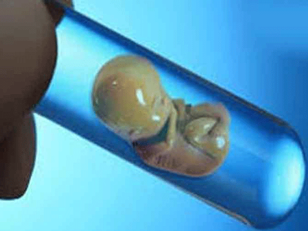 کشت اولین جنین مصنوعی جهان