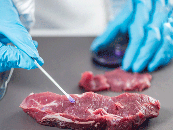 رشته کارشناسی بهداشت و بازرسی گوشت