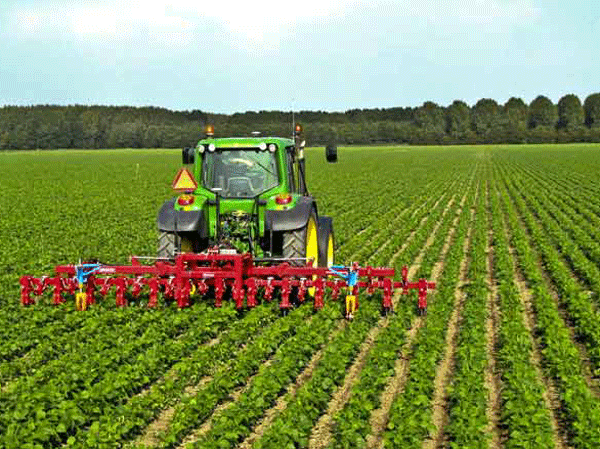 مهندسی مکانیک بیوسیستم