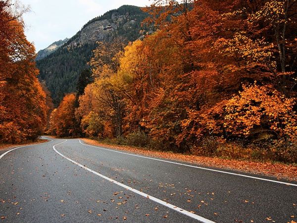 مهر کجا بریم؟ | بهترین مقاصد پاییزی ایران در مهرماه