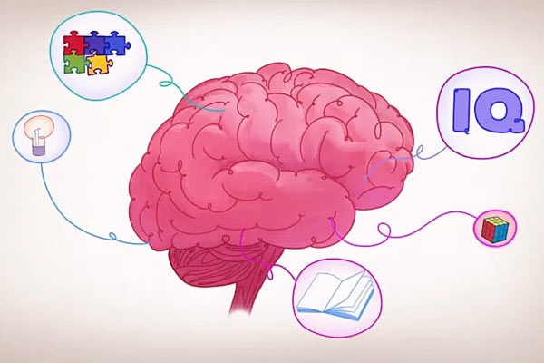 در چه سنی باهوش‌تر هستیم؟ پاسخ متفاوت علم به یک سوال قدیمی