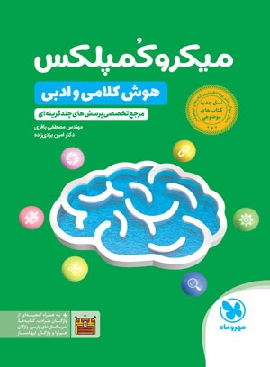 میکروکمپلکس هوش کلامی و ادبی