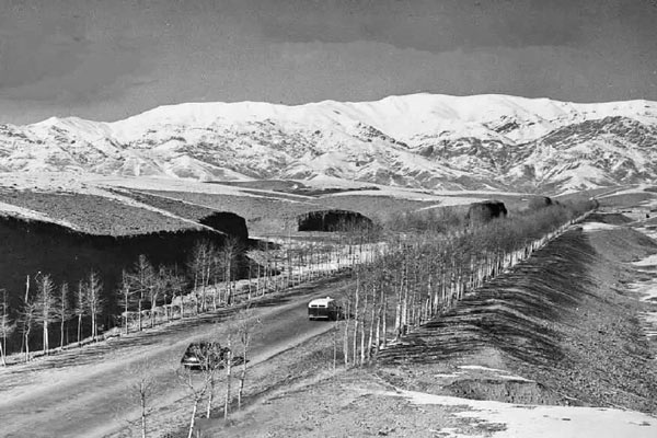 عکس‌های قدیمی خیابان ولیعصر؛ روایتی از طولانی‌ترین خیابان خاورمیانه