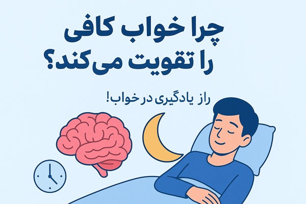 چرا خواب کافی حافظه را تقویت می‌کند