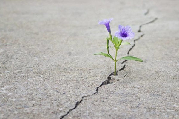 معنای واقعی زندگی چیست