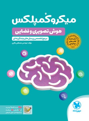 میکروکمپلکس هوش تصویری و فضایی